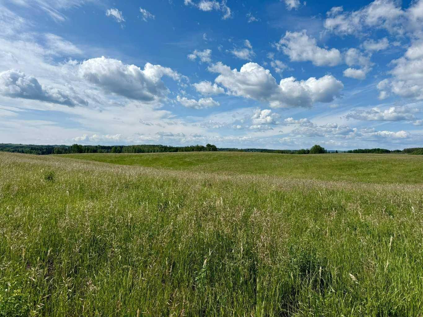 Rural Mountain View County, AB T0M 0S0,RR40 south of Twp Rd 293