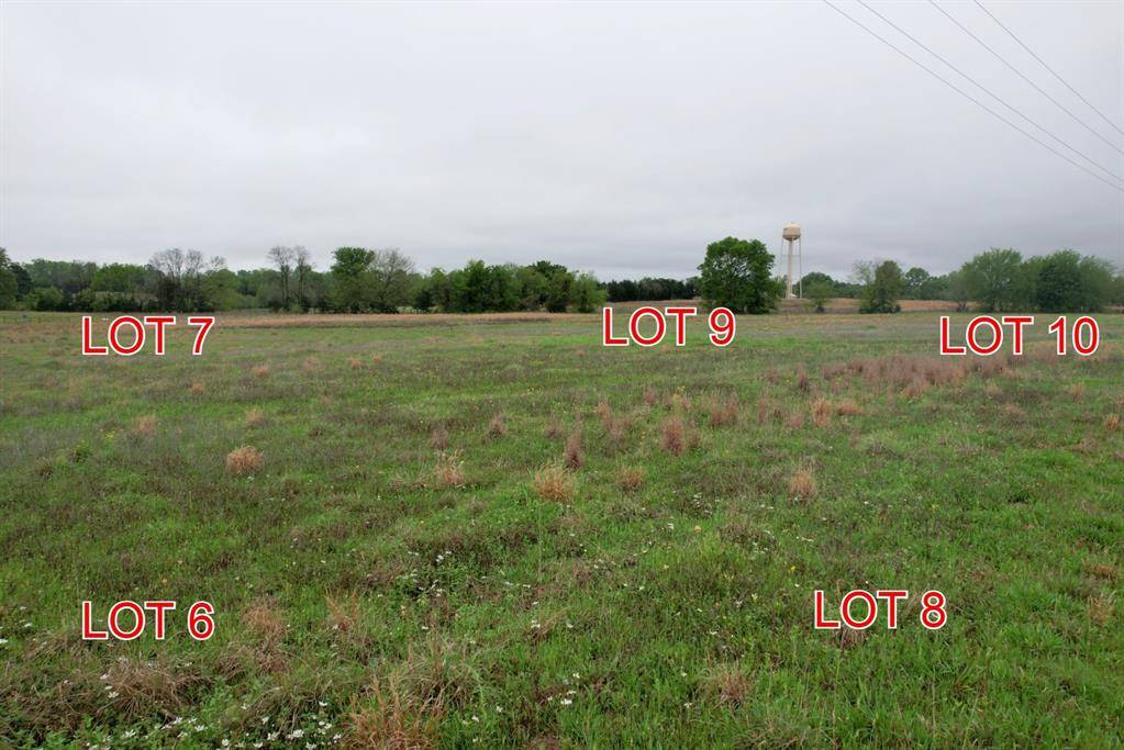 Winnsboro, TX 75494,Lot 10 County Road 4287