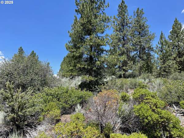 Chiloquin, OR 97624,KNA Legget Drive #25