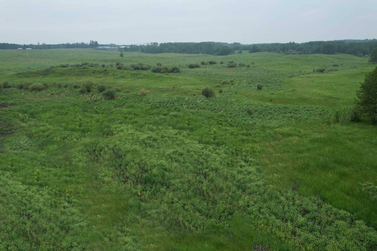 Rural Ponoka County, AB T0C 2J0,On Township Road 422 Lot 7