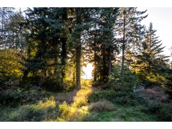 Rockaway Beach, OR 97136,TL 00101 Kenton AVE