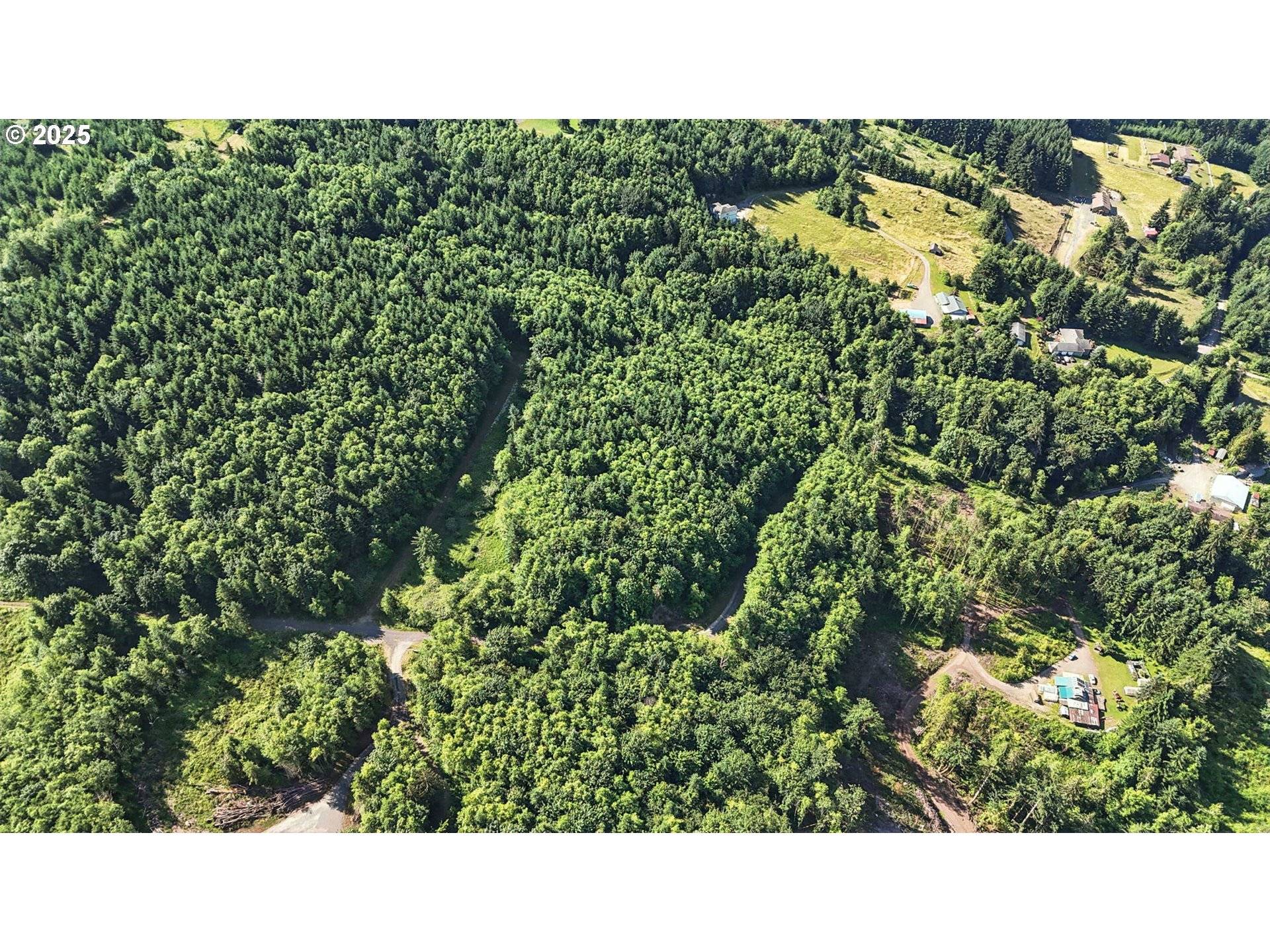 Kelso, WA 98626,Lot Parcel WD1001038