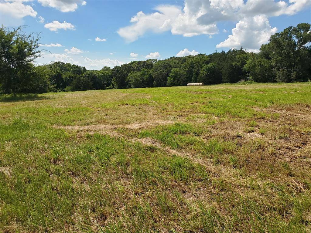 Emory, TX 75440,LOT 8 RS County Road 1140