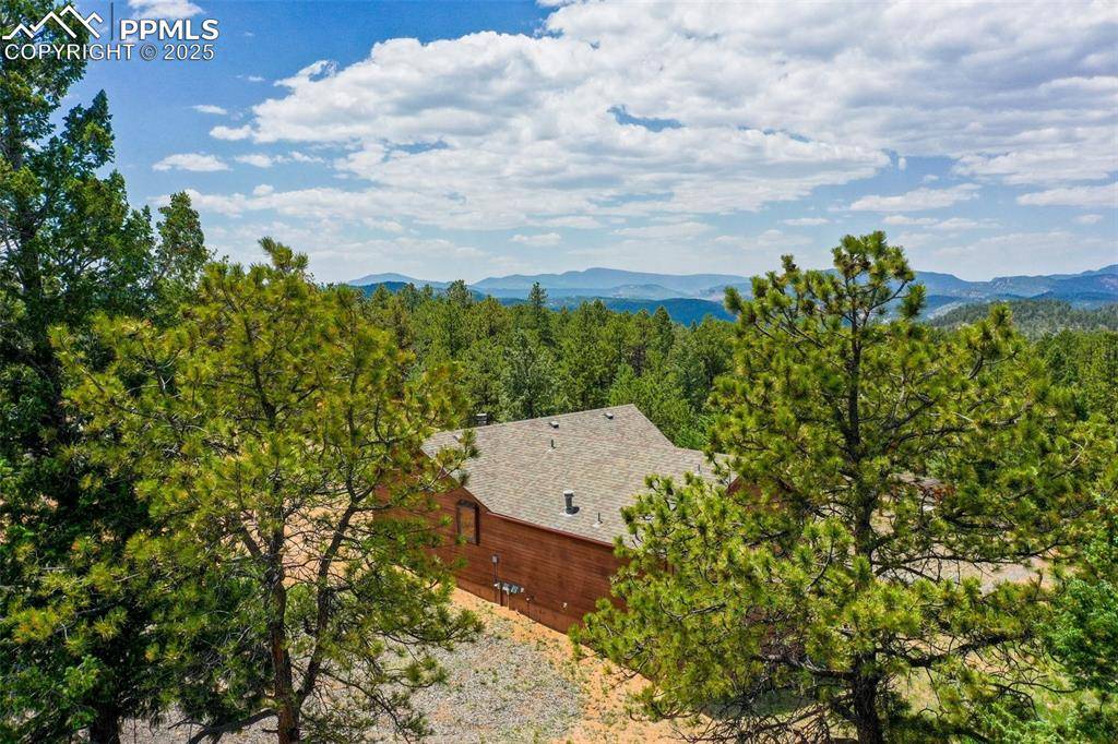 Florissant, CO 80816,517 Drees DR