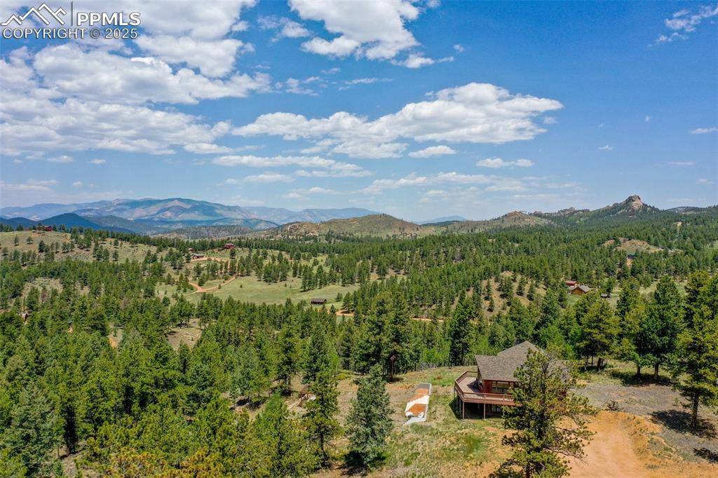 Florissant, CO 80816,517 Drees DR