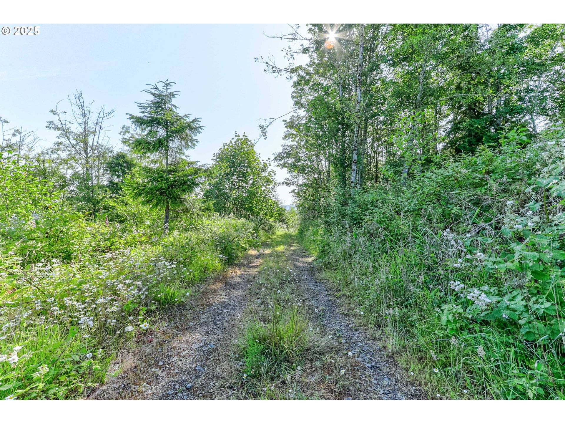 Kelso, WA 98626,Lot Parcel WD1001040