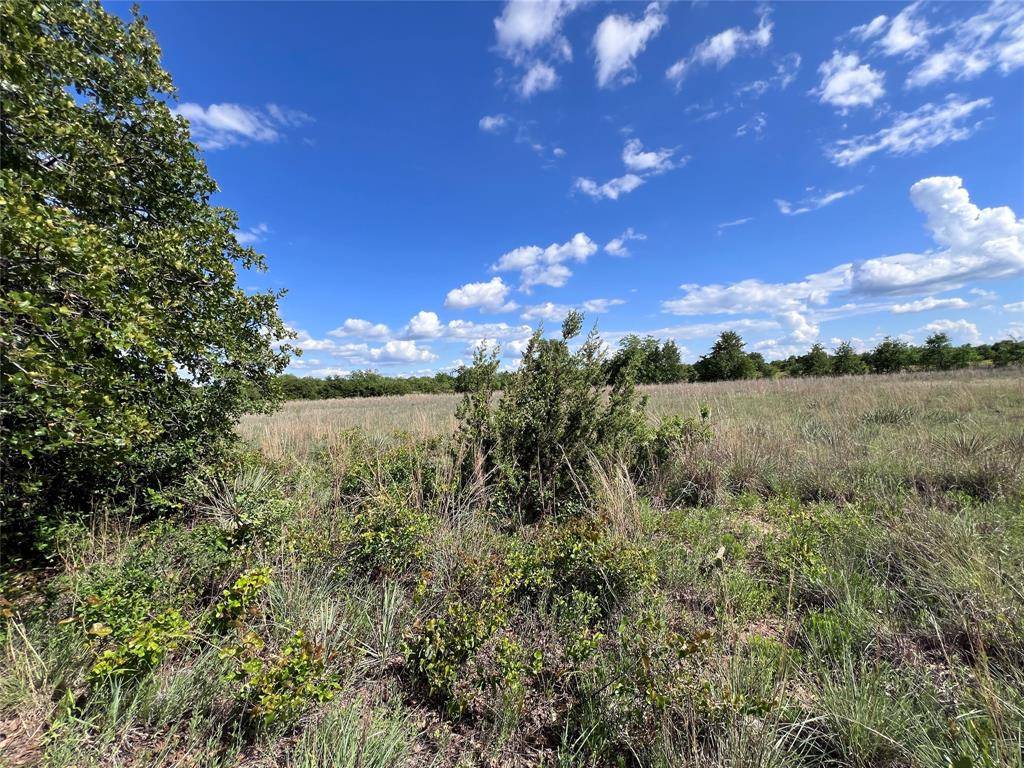 Clyde, TX 79510,TBD Lot 15 Live Oak Trail
