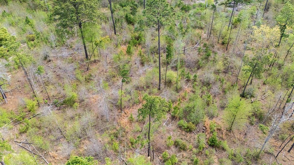 Troup, TX 75789,19727 CR 2160