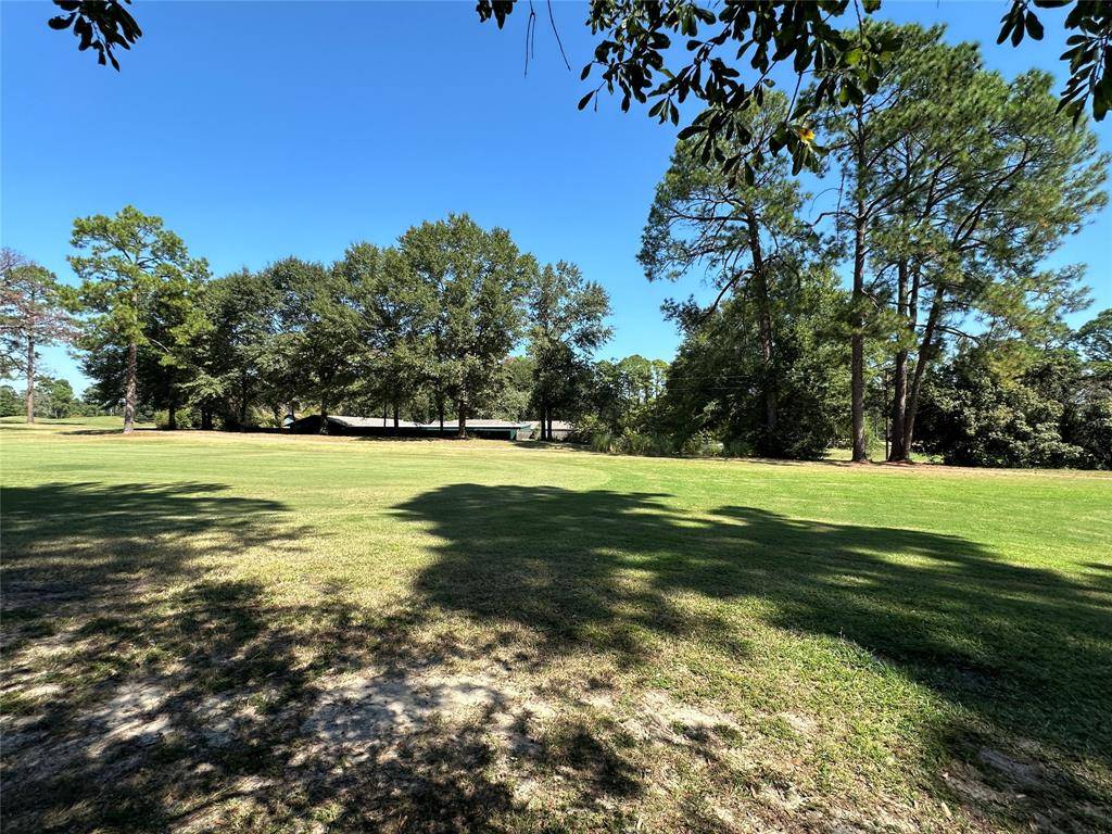 Holly Lake Ranch, TX 75765,TBD Holly Trail