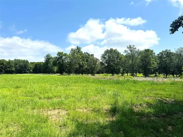 Pittsburg, TX 75686,TBD CR 2910