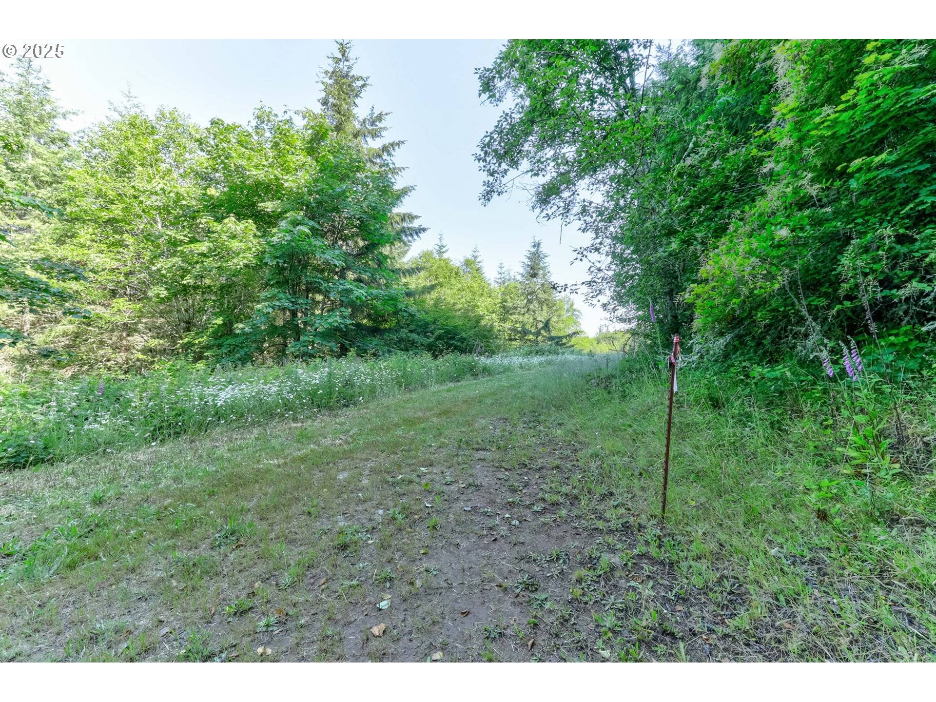 Kelso, WA 98626,5 Lot Parcel