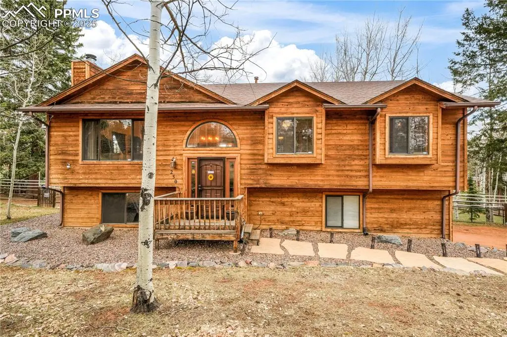 Woodland Park, CO 80863,250 Bridle DR