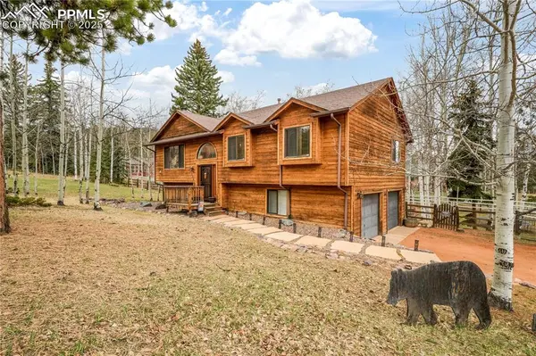 Woodland Park, CO 80863,250 Bridle DR