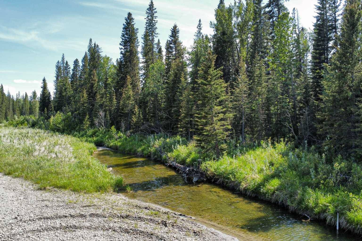 Rural Mountain View County, AB T0M 0R0,5212 Township Road 312