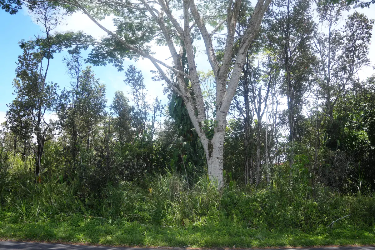 Keaau, HI 96749,24TH AVE