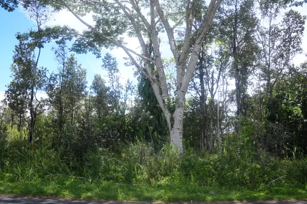 24TH AVE, Keaau, HI 96749