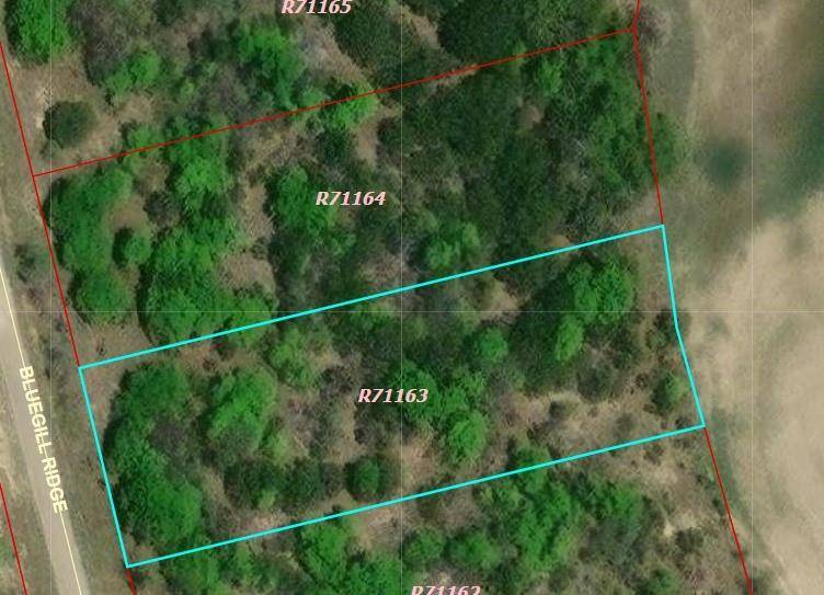 Bluff Dale, TX 76433,1065 Bluegill Ridge