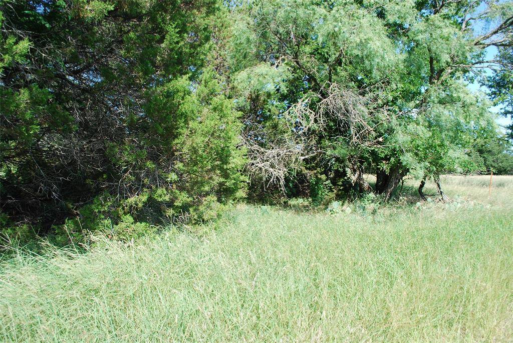 37014 Woodacre Court, Whitney, TX 76692