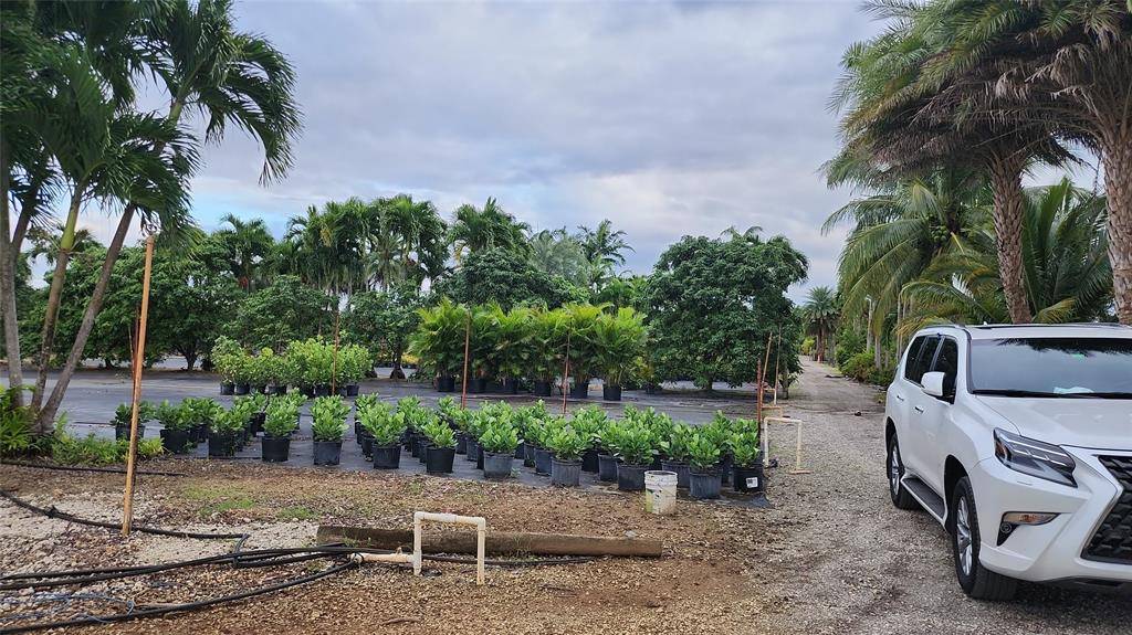 Homestead, FL 33031,[StreetName,UnitNumber,StreetNumber,StreetDirPrefix]