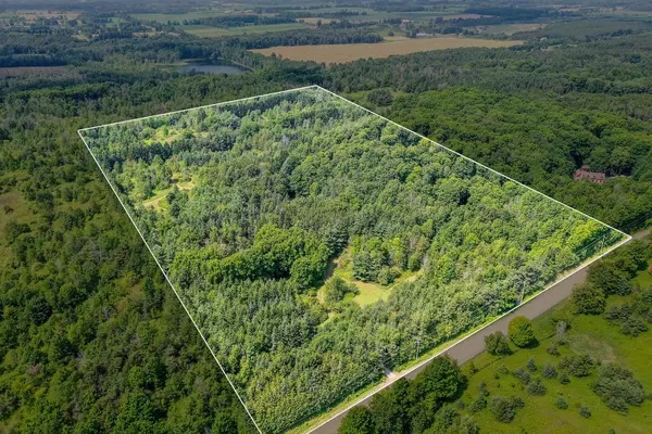 Caledon, ON L7K 1E8,PT LOT 11 CON 4 ESCARPMENT Side Road