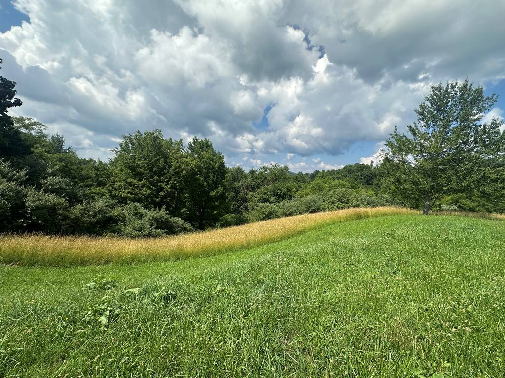 Mouth Of Wilson, VA 24363,TBD York Ridge Estates