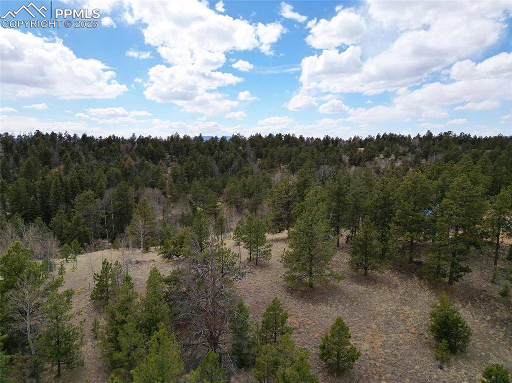 Florissant, CO 80816,475 Pinon LN