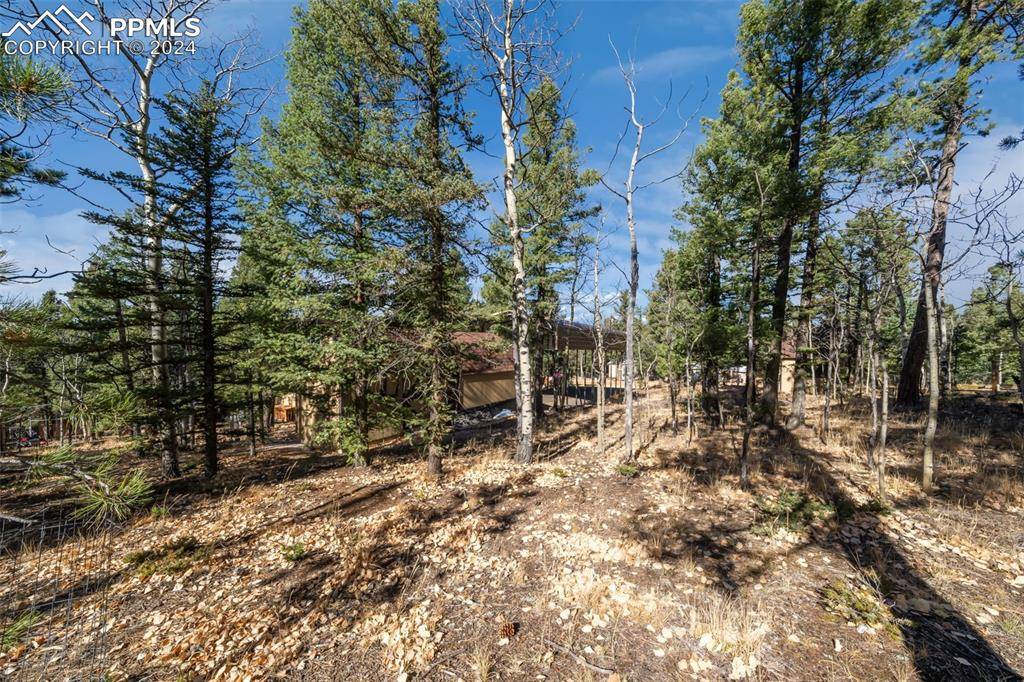 Woodland Park, CO 80863,1063 Blossom RD