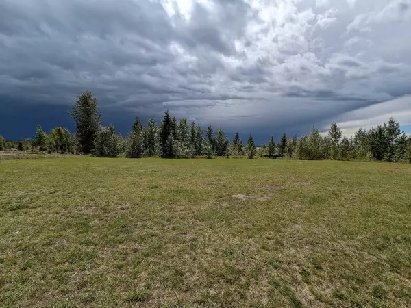Rural Ponoka County, AB T0C 2J0,737 Bridgeview RD