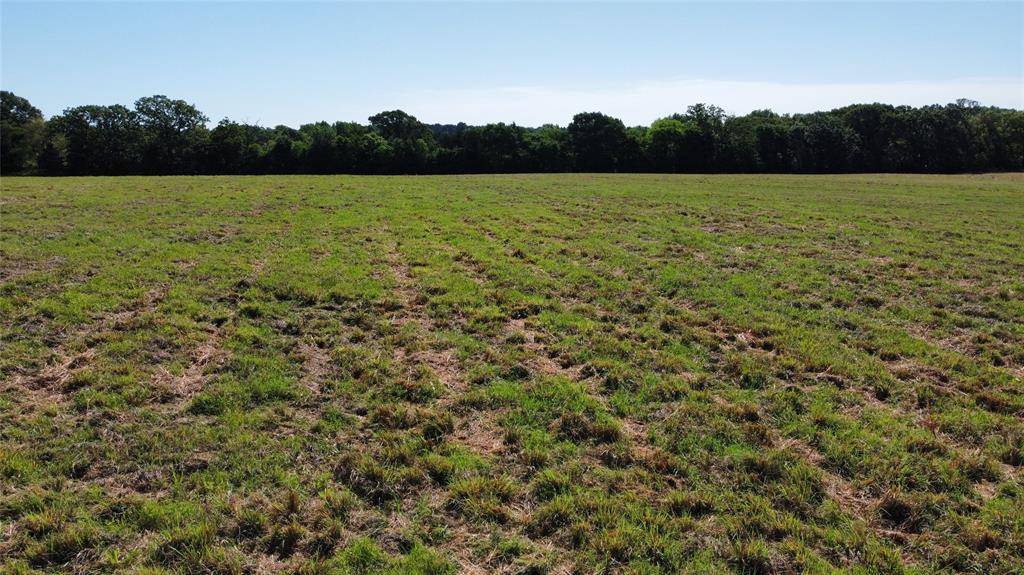 Quitman, TX 75783,000 County Road 4930