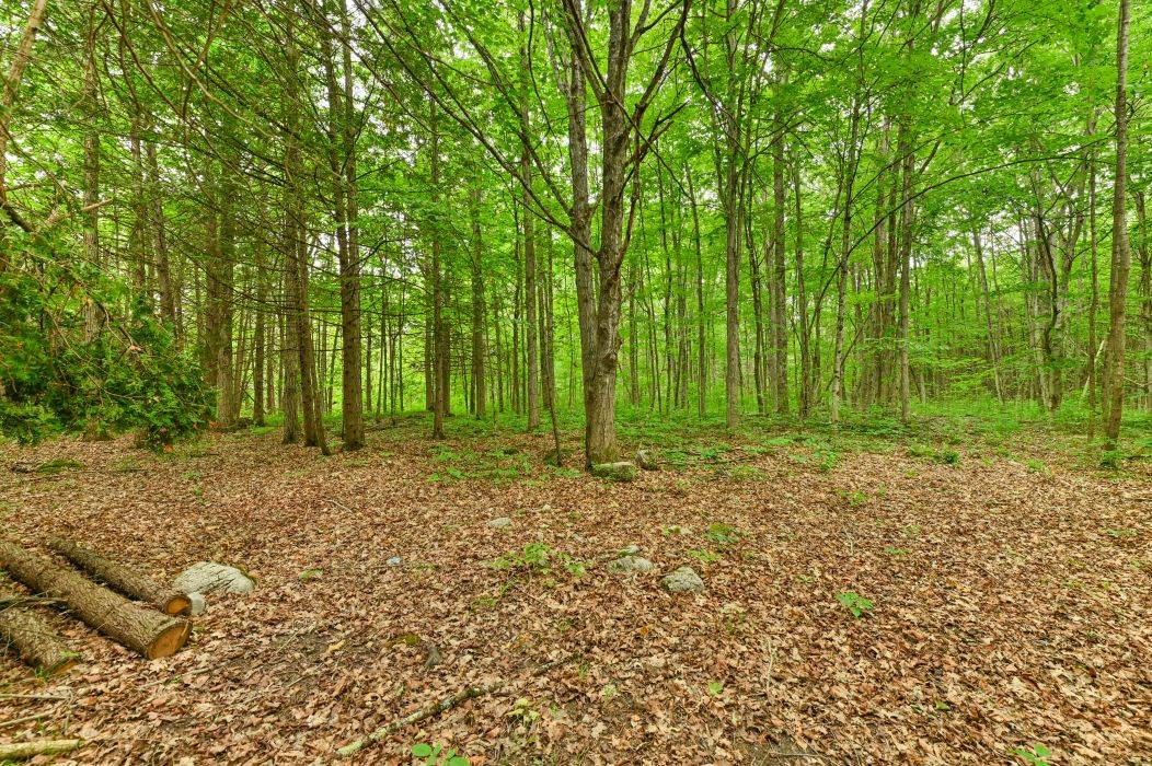 Tweed, ON K0K 2L0,459 Meeks RD