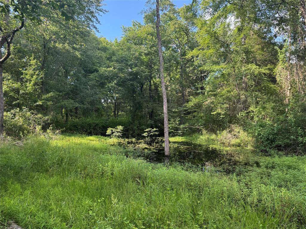 Eustace, TX 75124,490 Vz County Road 2915