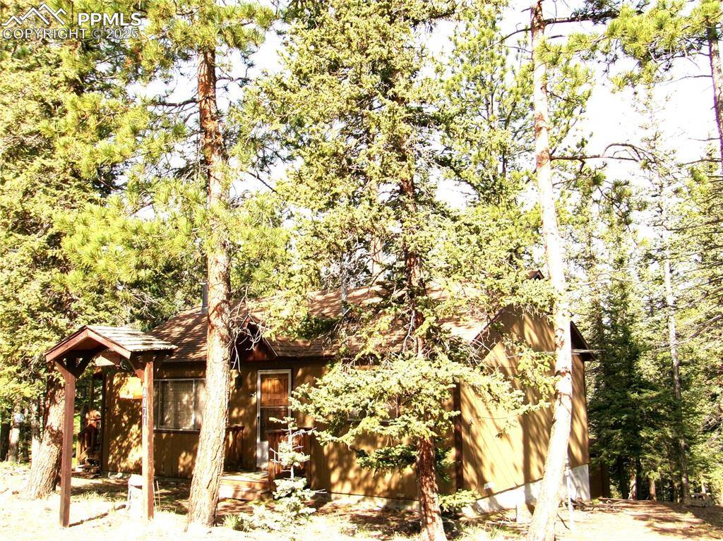 4071 Omer LN,  Divide,  CO 80814