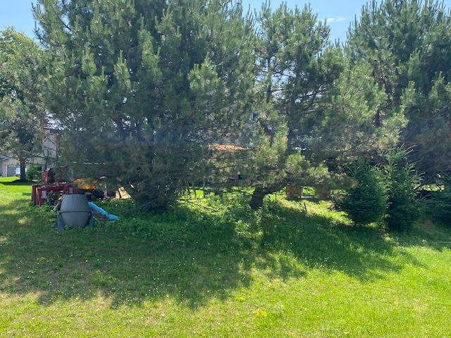 Saugeen Shores, ON N0H 2C1,170 Stickel ST