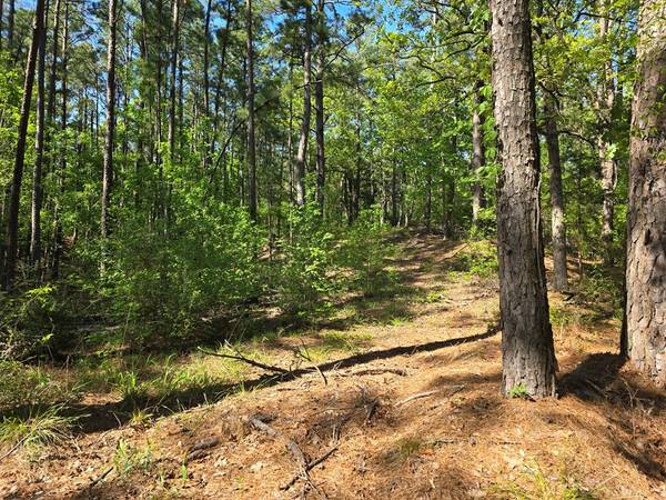 2723 TIMBERLINE TR, Palestine, TX 75803