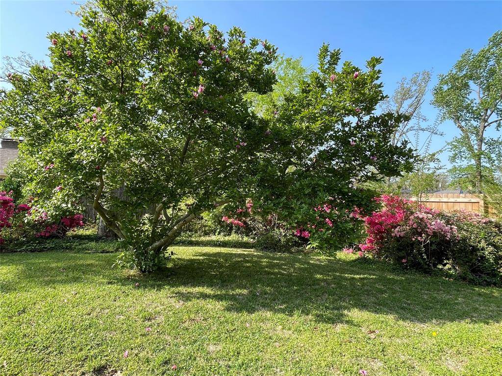 Tyler, TX 75703,1505 Sequoia Drive