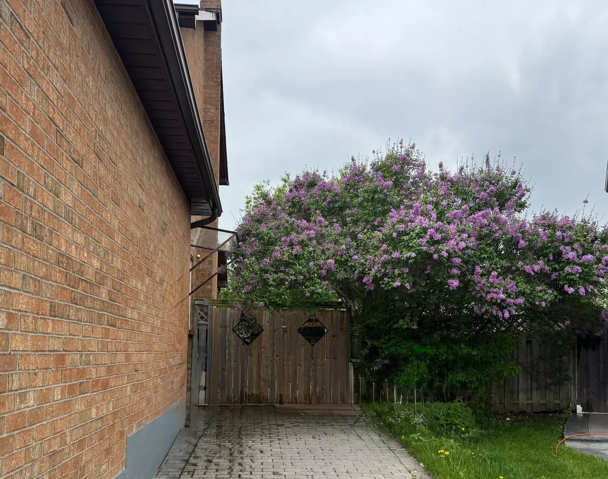 Richmond Hill, ON L4C 8G7,10 Pagehurst CT