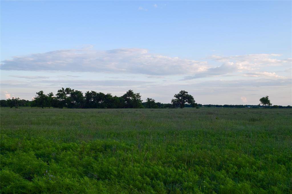 Perrin, TX 76486,1070 Mustang Ridge