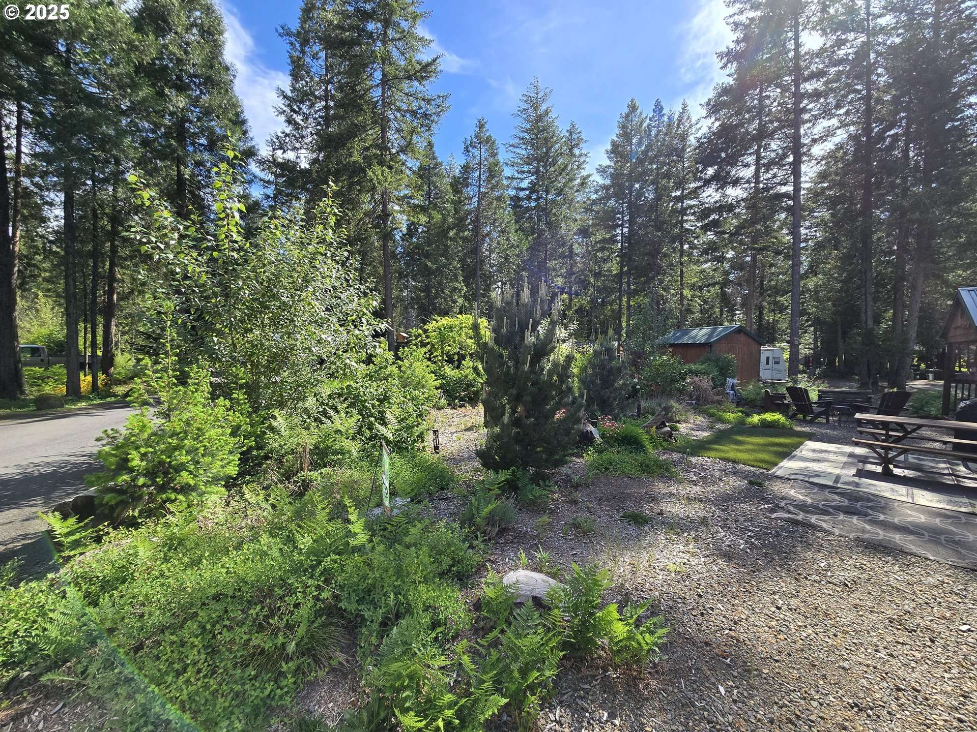 Blue River, OR 97413,54432 MCKENZIE HWY #18