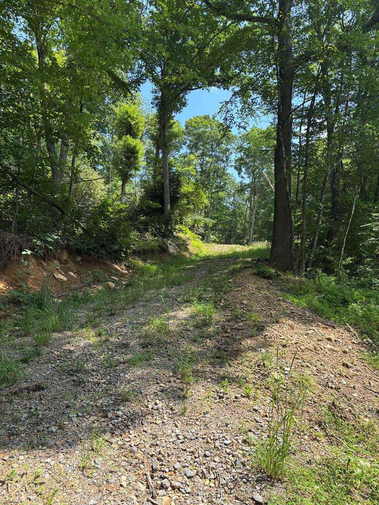 Independence, VA 24348,TBD Elk Creek Highway