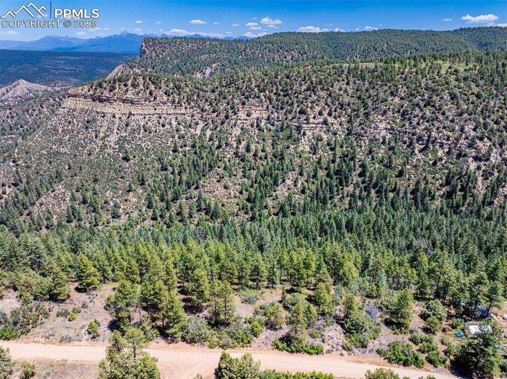 783 Gun Barrel RD, Pagosa Springs, CO 81147