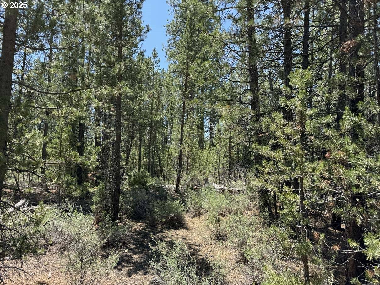 Crescent Lake, OR 97733,Gabriel Court #50