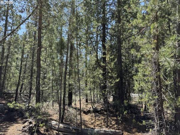 Gabriel Court #50, Crescent Lake, OR 97733