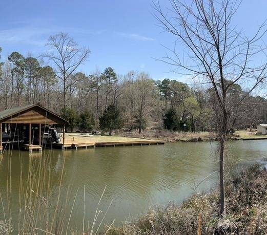 Scroggins, TX 75480,63R King Frederick Ct
