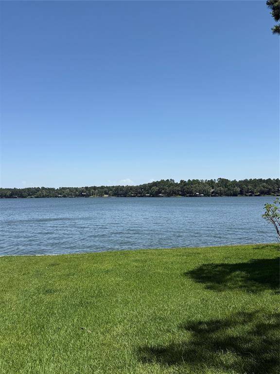 Scroggins, TX 75480,63R King Frederick Ct