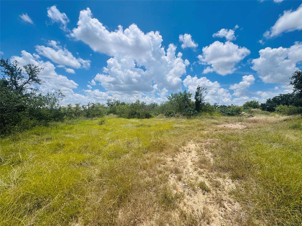 Early, TX 76802,411 Sunrise Street