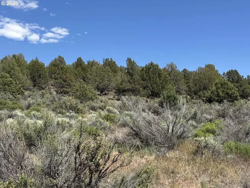 Medicine Mountain Dr #1, Beatty, OR 97621