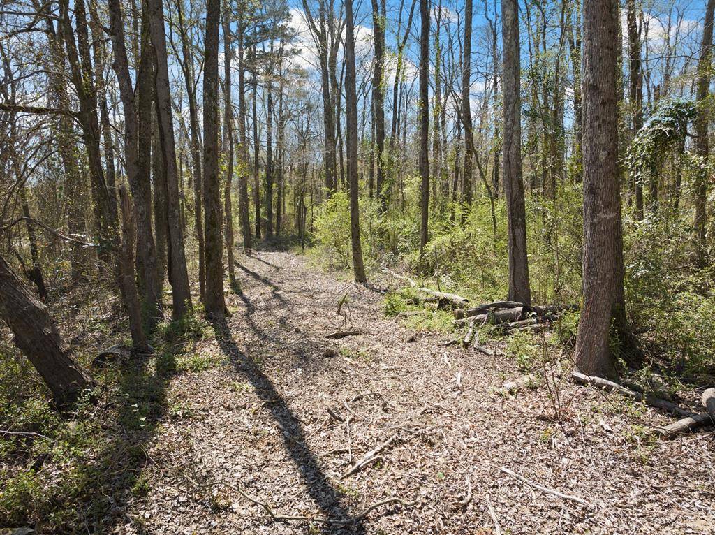 Mount Pleasant, TX 75455,Lot 5 CR 4365