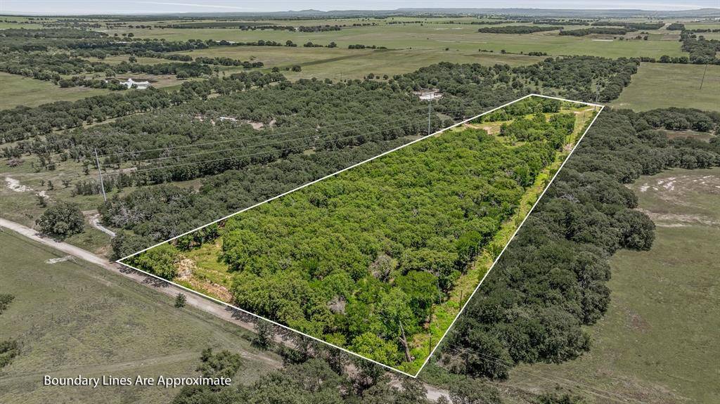 TBD Co Rd 431 #11, Ranger, TX 76470