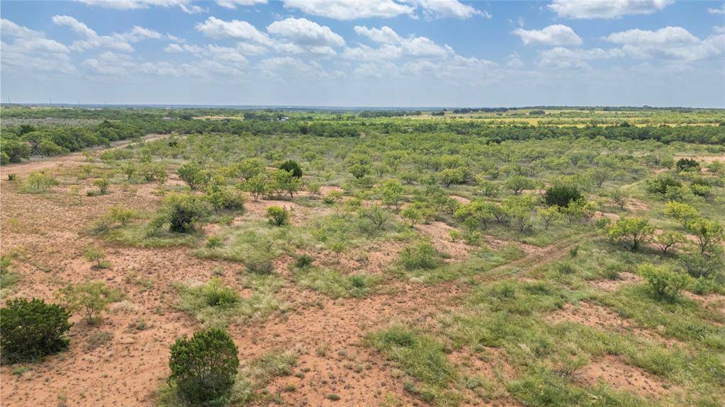 Santa Anna, TX 76878,TBD 40 acres FM 1176