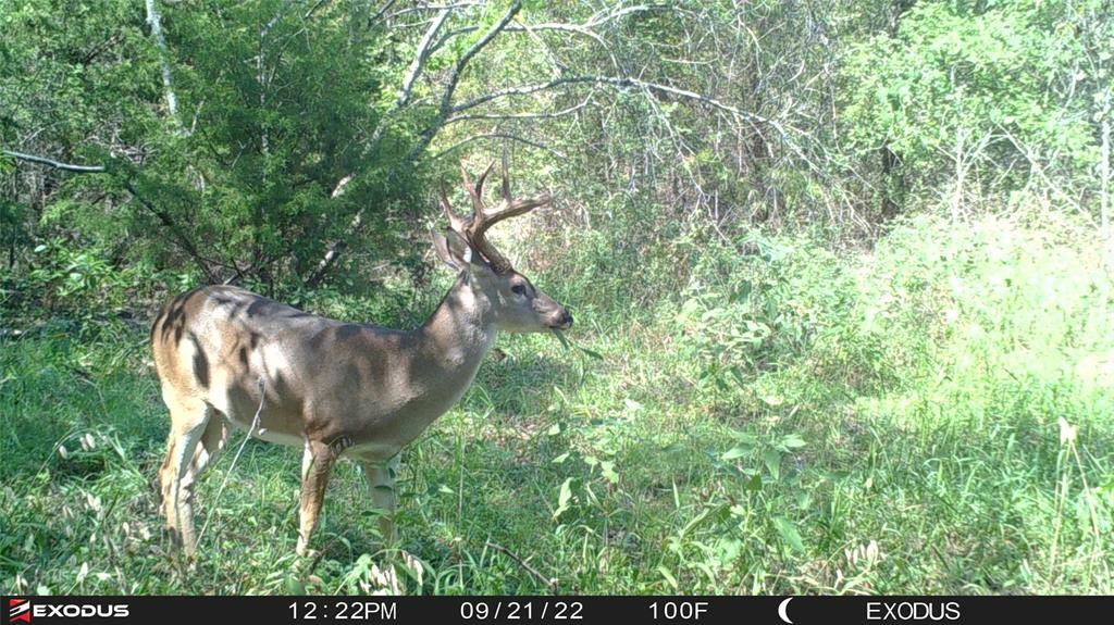 Dawson, TX 76639,3324-A County Road 3206